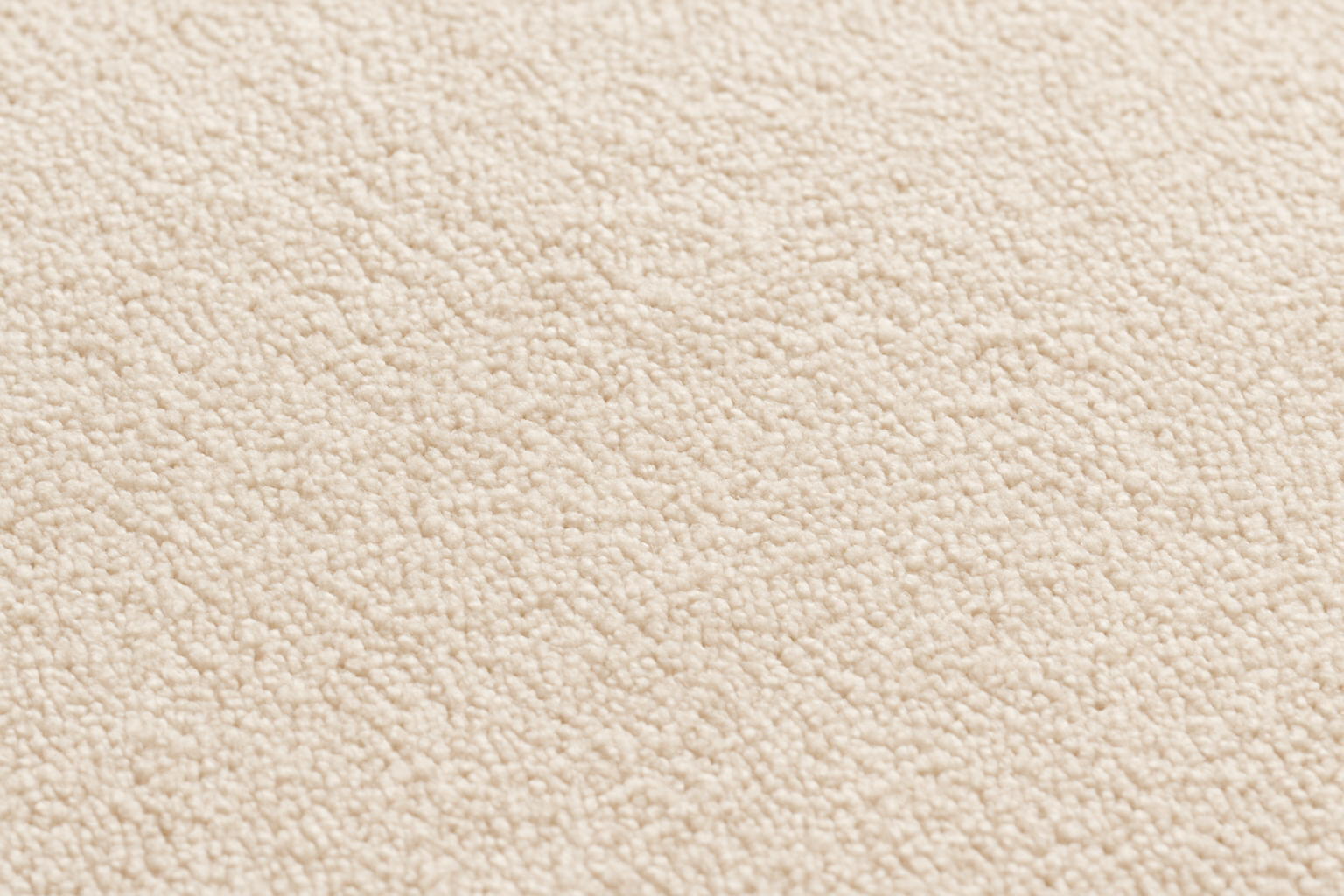 Cuidado y Mantenimiento de Alfombras en Miami